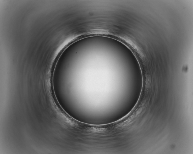 X0000100381325200806131051