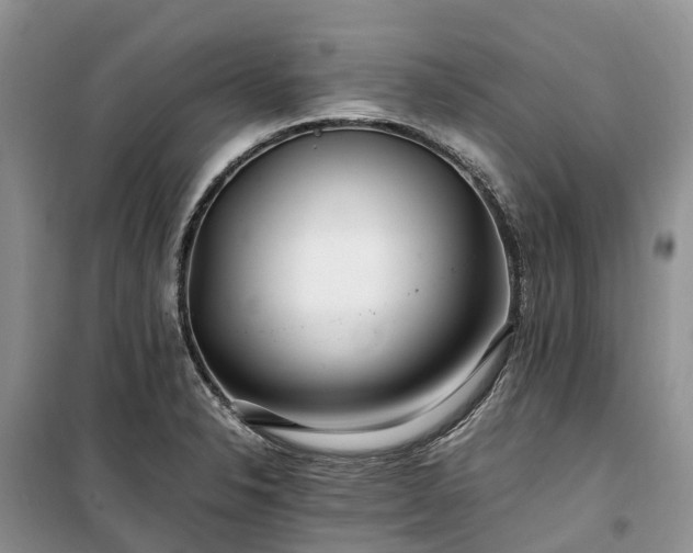 X0000100381326200806131051