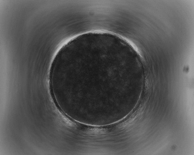 X0000100381327200806131051