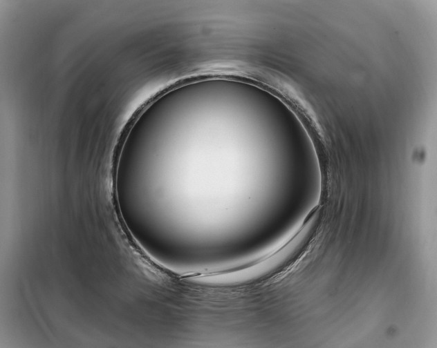 X0000100381328200806131051