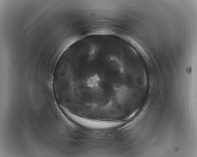 X0000100381329200806131051