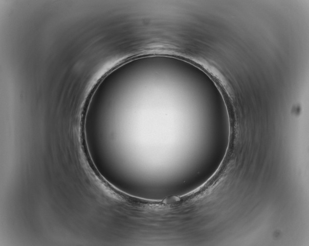 X0000100381333200806131051