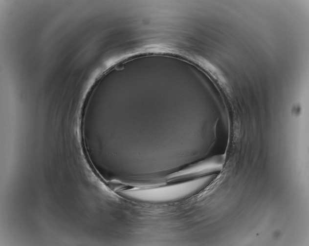 X0000100381334200806131051