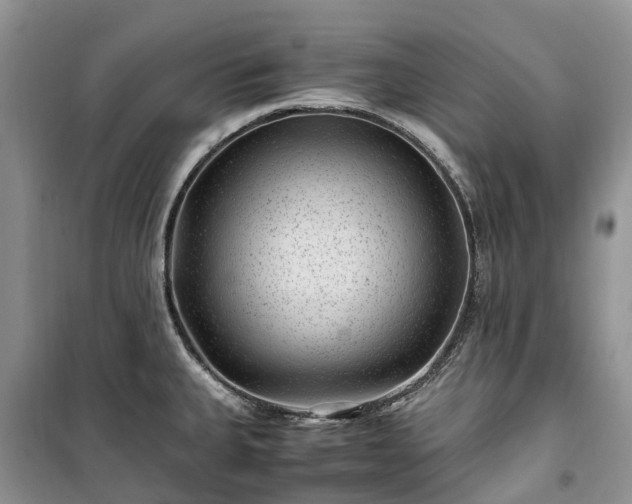X0000100381335200806131051