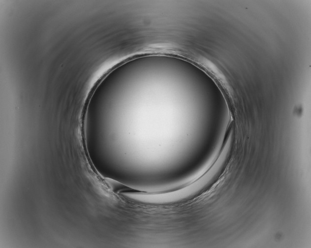 X0000100381336200806131051