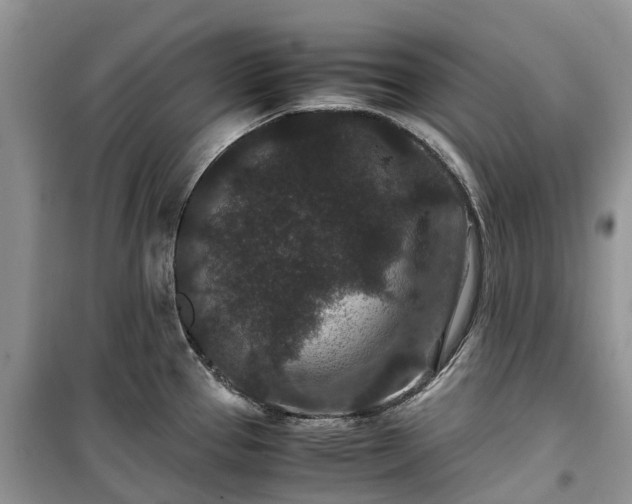 X0000100381337200806131051