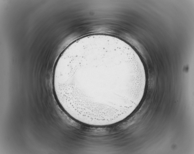 X0000100381338200806131051