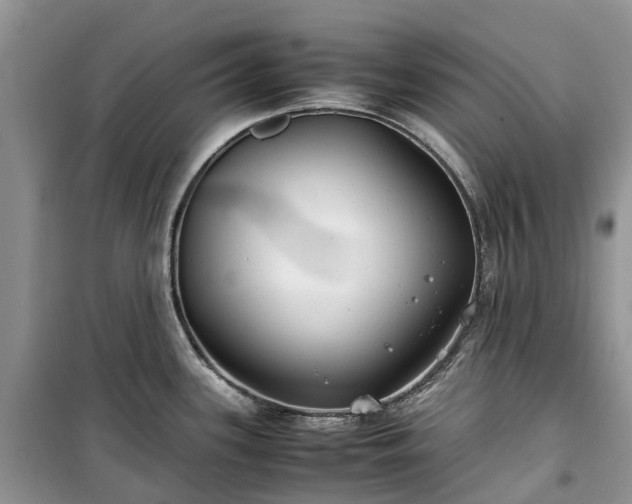 X0000100381339200806131051