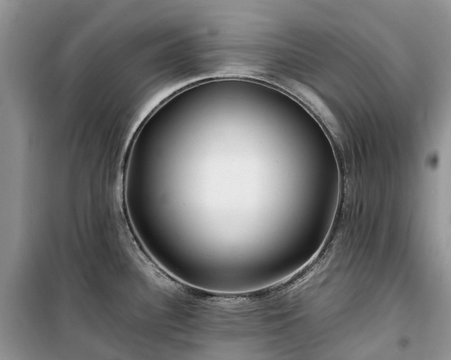X0000100381340200806131051