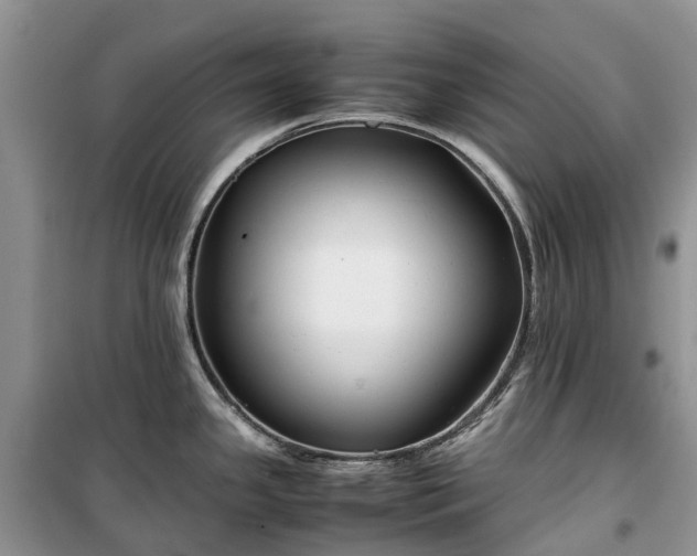 X0000100381341200806131051