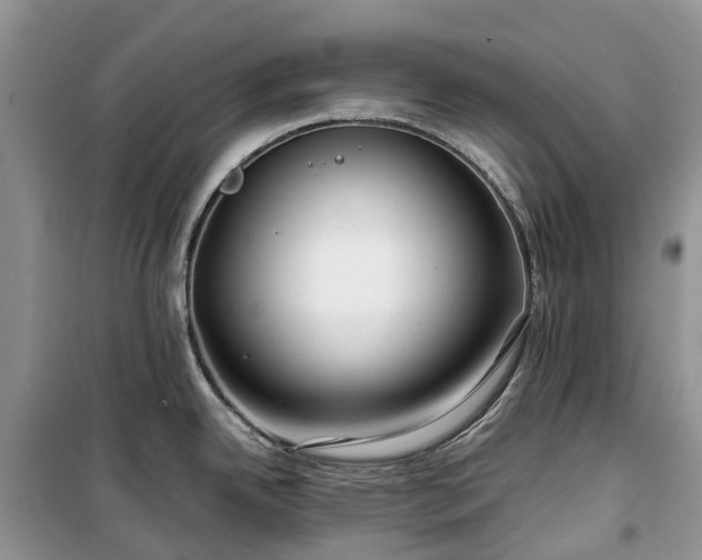X0000100381342200806131051