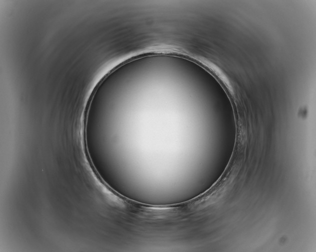 X0000100381343200806131051