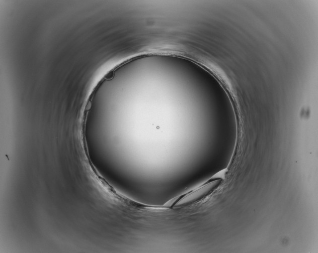 X0000100381344200806131051
