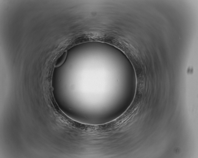 X0000100381345200806131050