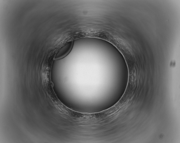 X0000100381346200806131050