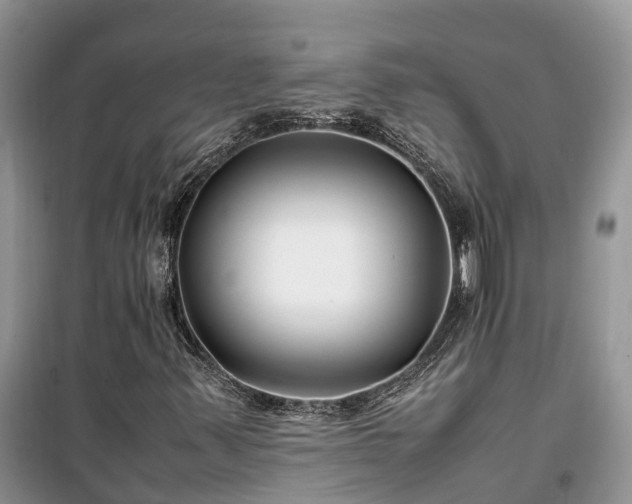 X0000100381347200806131050
