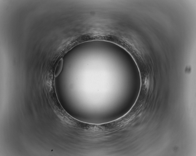 X0000100381348200806131050