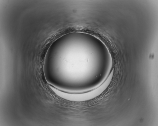 X0000100381349200806131050