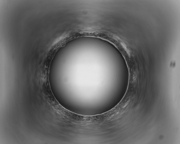 X0000100381350200806131050