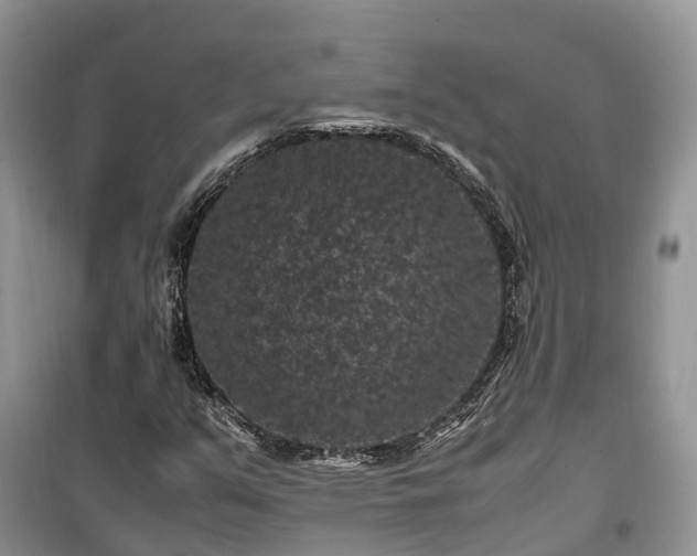 X0000100381351200806131050