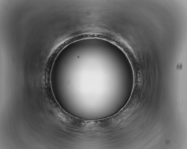X0000100381352200806131050