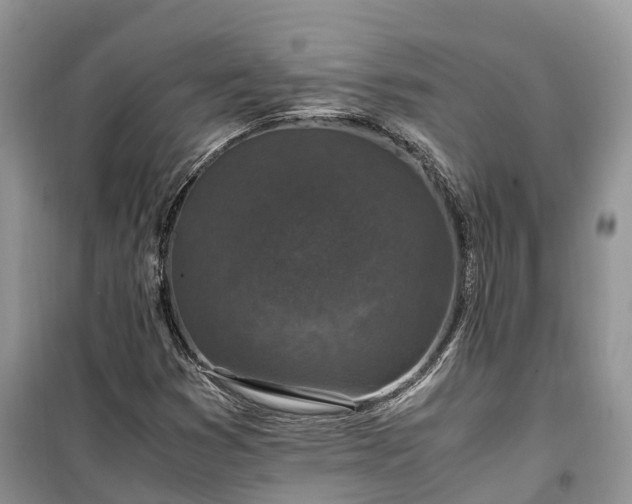 X0000100381353200806131050