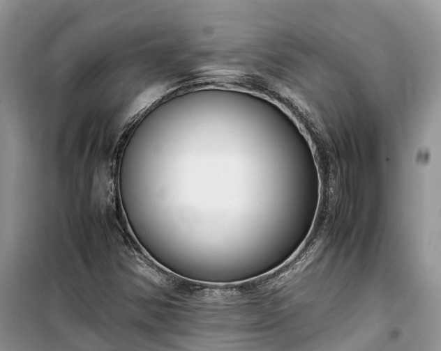 X0000100381354200806131050