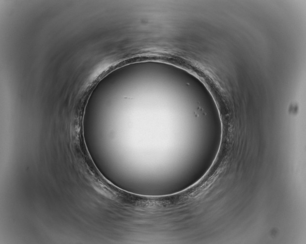 X0000100381355200806131050