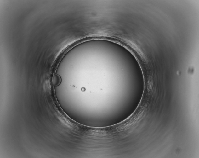 X0000100381356200806131050