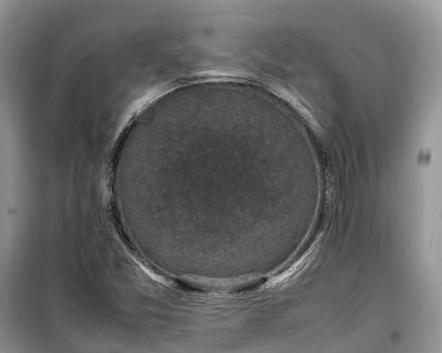X0000100381357200806131050
