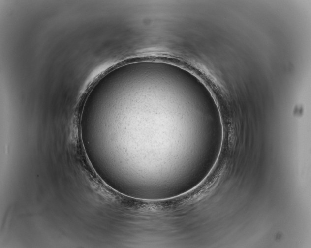 X0000100381358200806131050