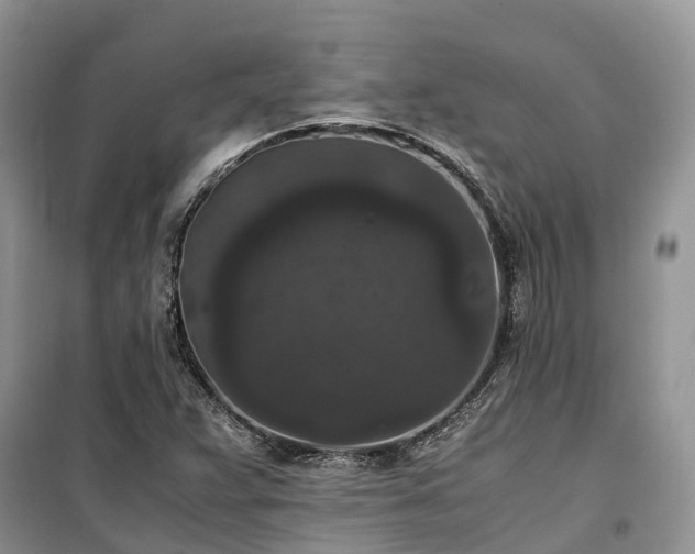 X0000100381359200806131050