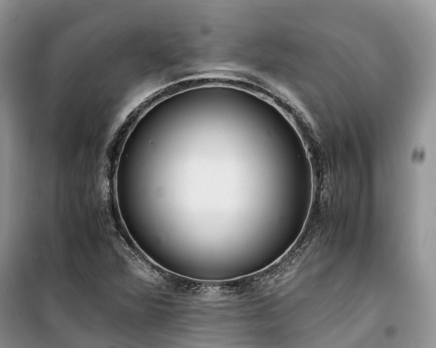 X0000100381360200806131050