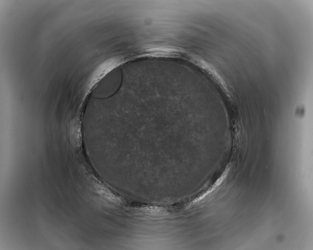 X0000100381362200806131050