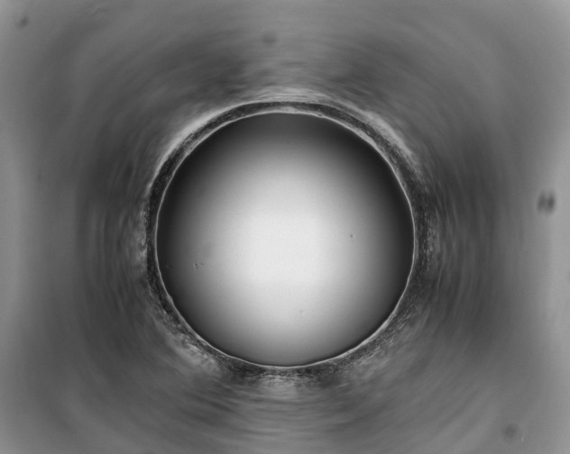 X0000100381364200806131050