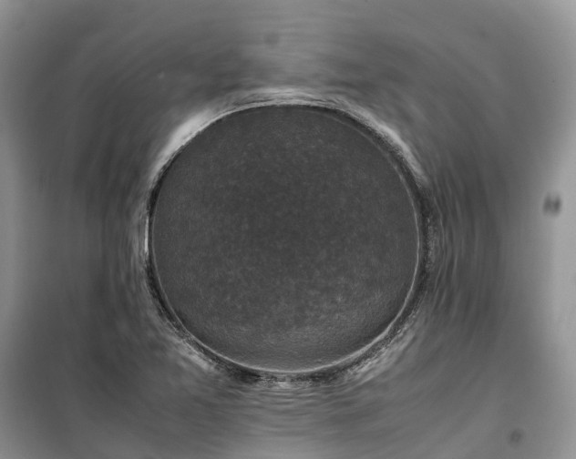 X0000100381365200806131050