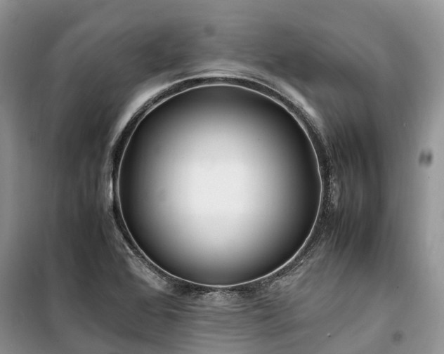 X0000100381368200806131050