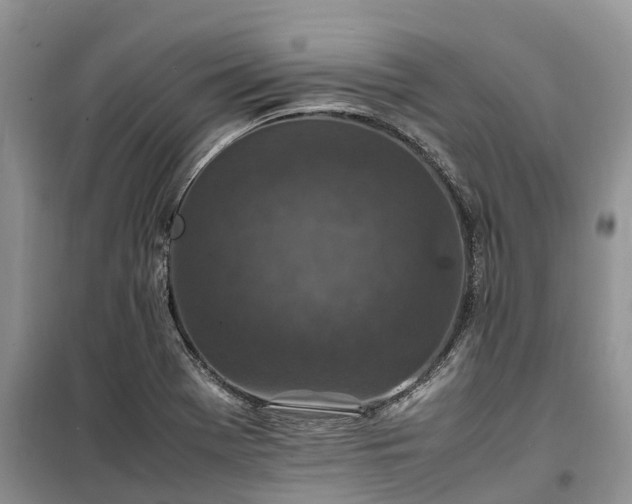 X0000100381369200806131050
