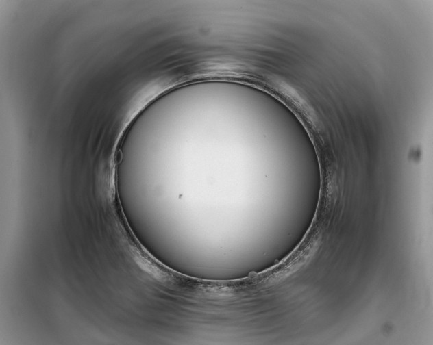 X0000100381370200806131050