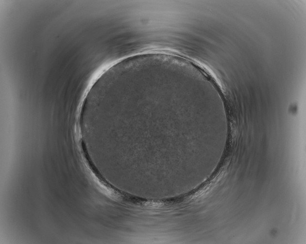 X0000100381371200806131050