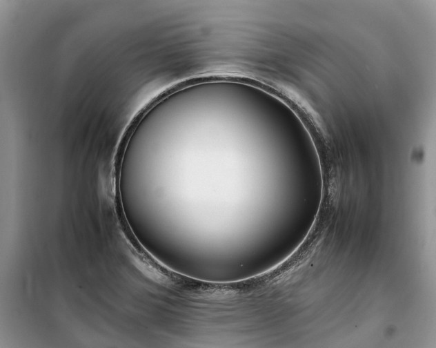 X0000100381372200806131050