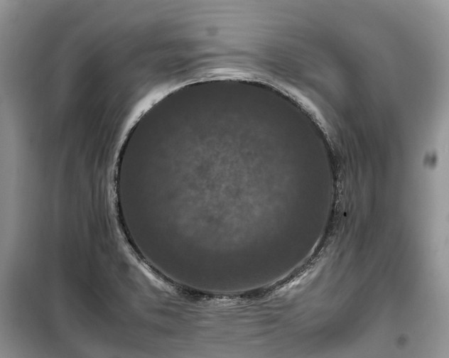 X0000100381373200806131050