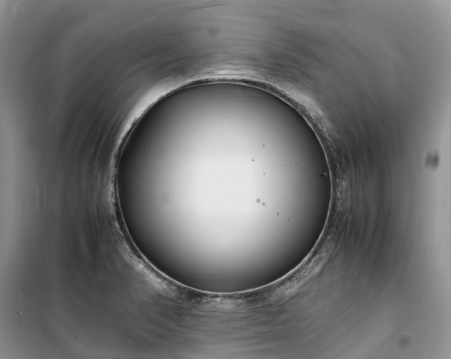 X0000100381374200806131050
