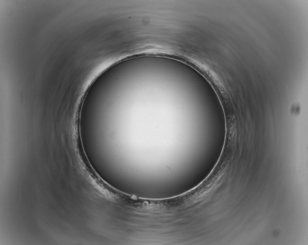 X0000100381375200806131050