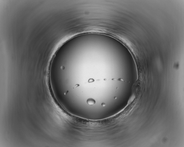X0000100381379200806131050