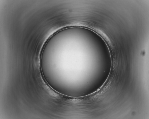 X0000100381380200806131050