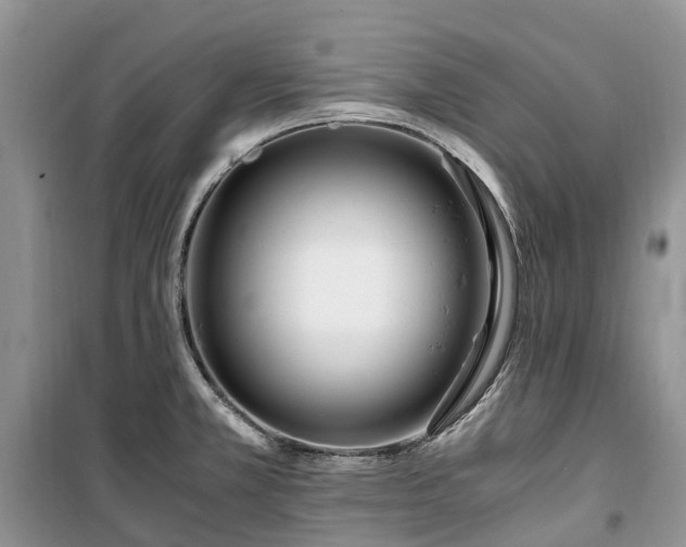 X0000100381381200806131050
