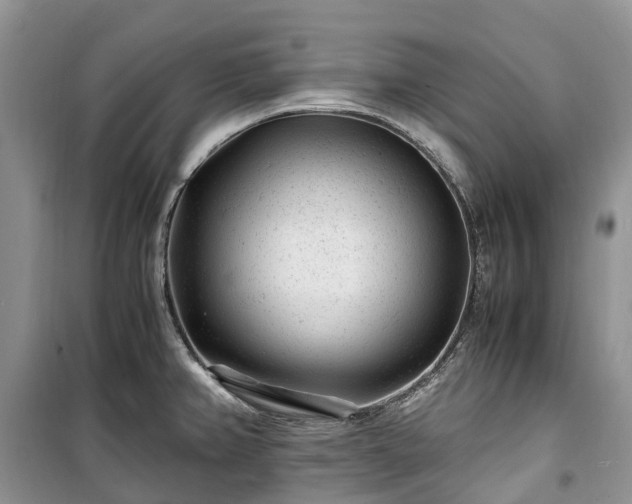 X0000100381382200806131050