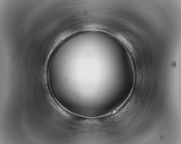 X0000100381384200806131050