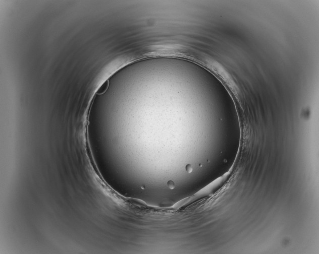 X0000100381386200806131050